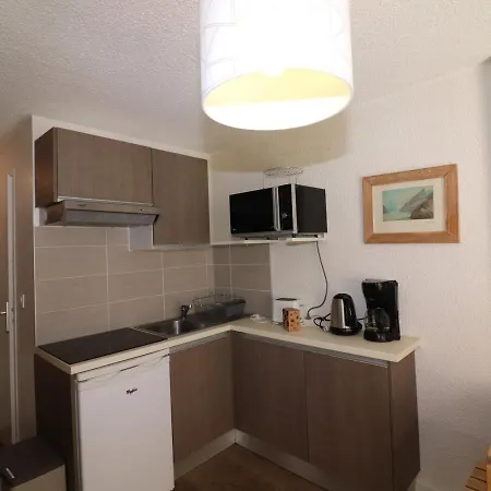 Renove Avec Balcon Aux Pieds Des Pistes, Wifi, Animaux Permis - Fr-1-502-415